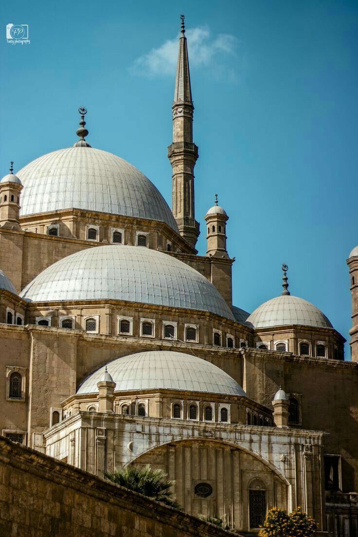 Egyptian Museum and Cairo Citadel tour